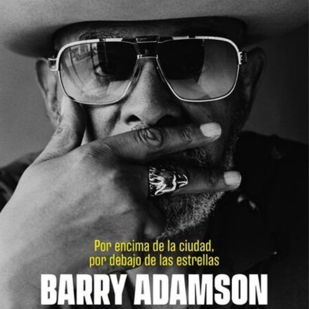 LIBRO POR ENCIMA DE LA CIUDAD POR DEBAJO DE LAS ESTRELLAS