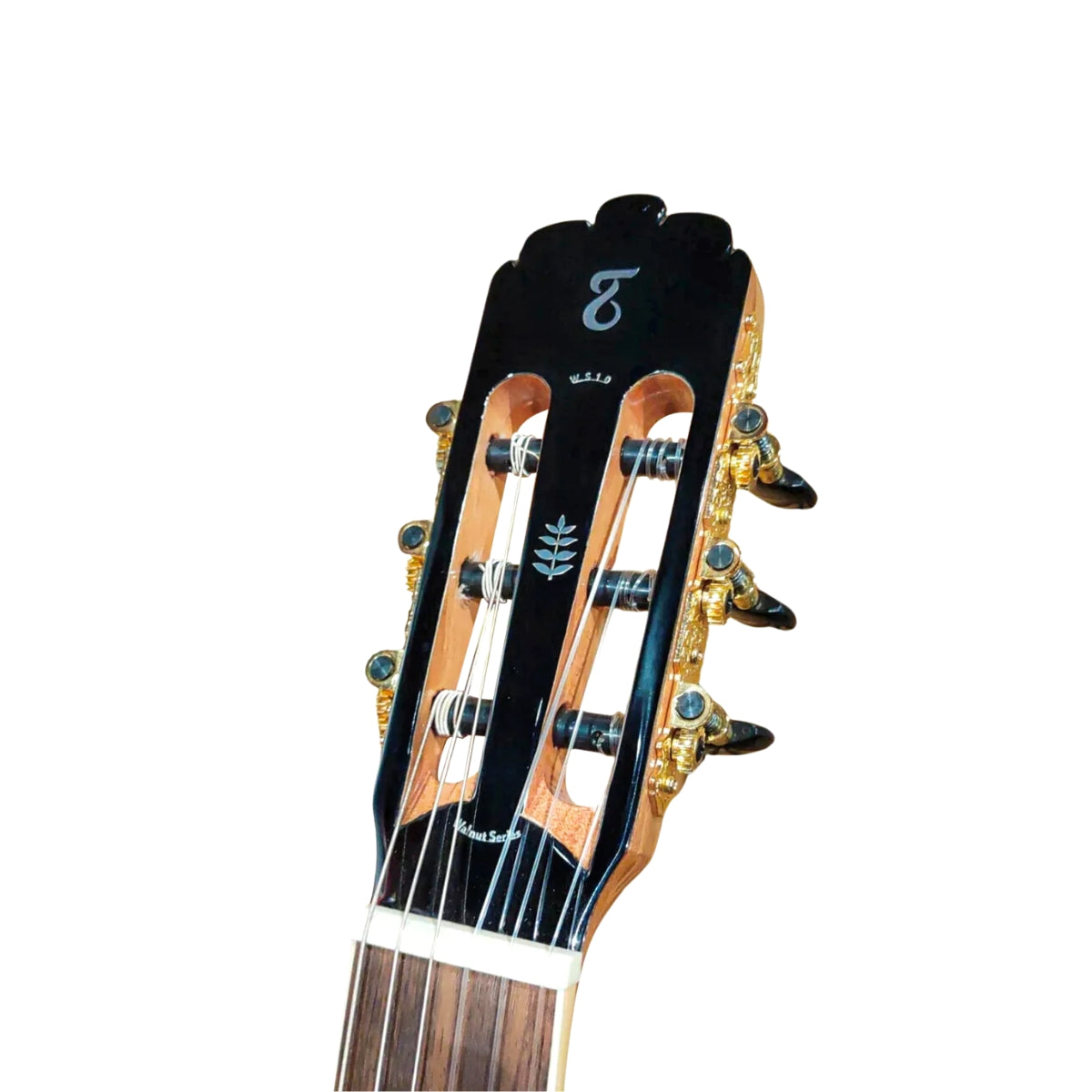 Guitarra Electroacústica Tagima WS-20-EQ Dreadnought Sunburst con Ecualizador