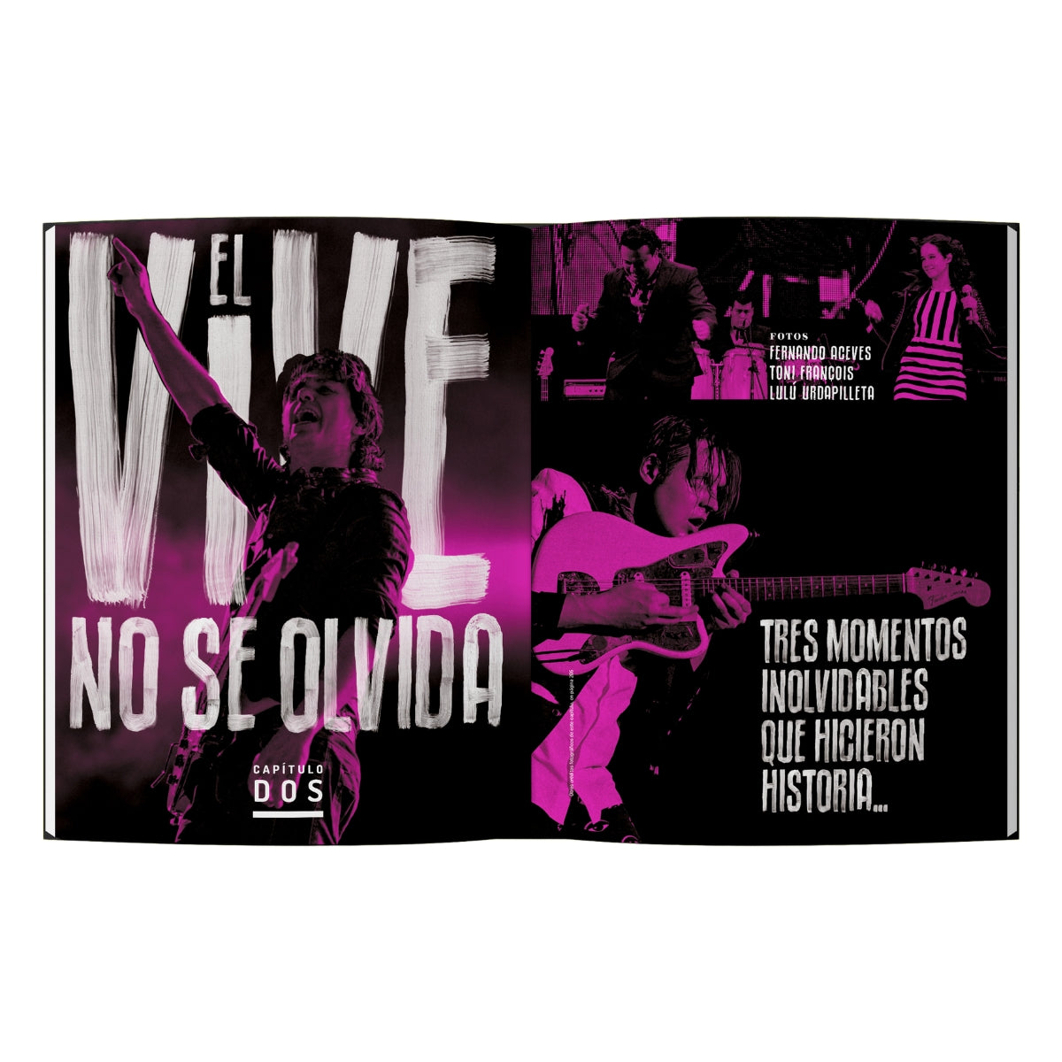 Libro 20 Años del Vive Latino | Print Matters