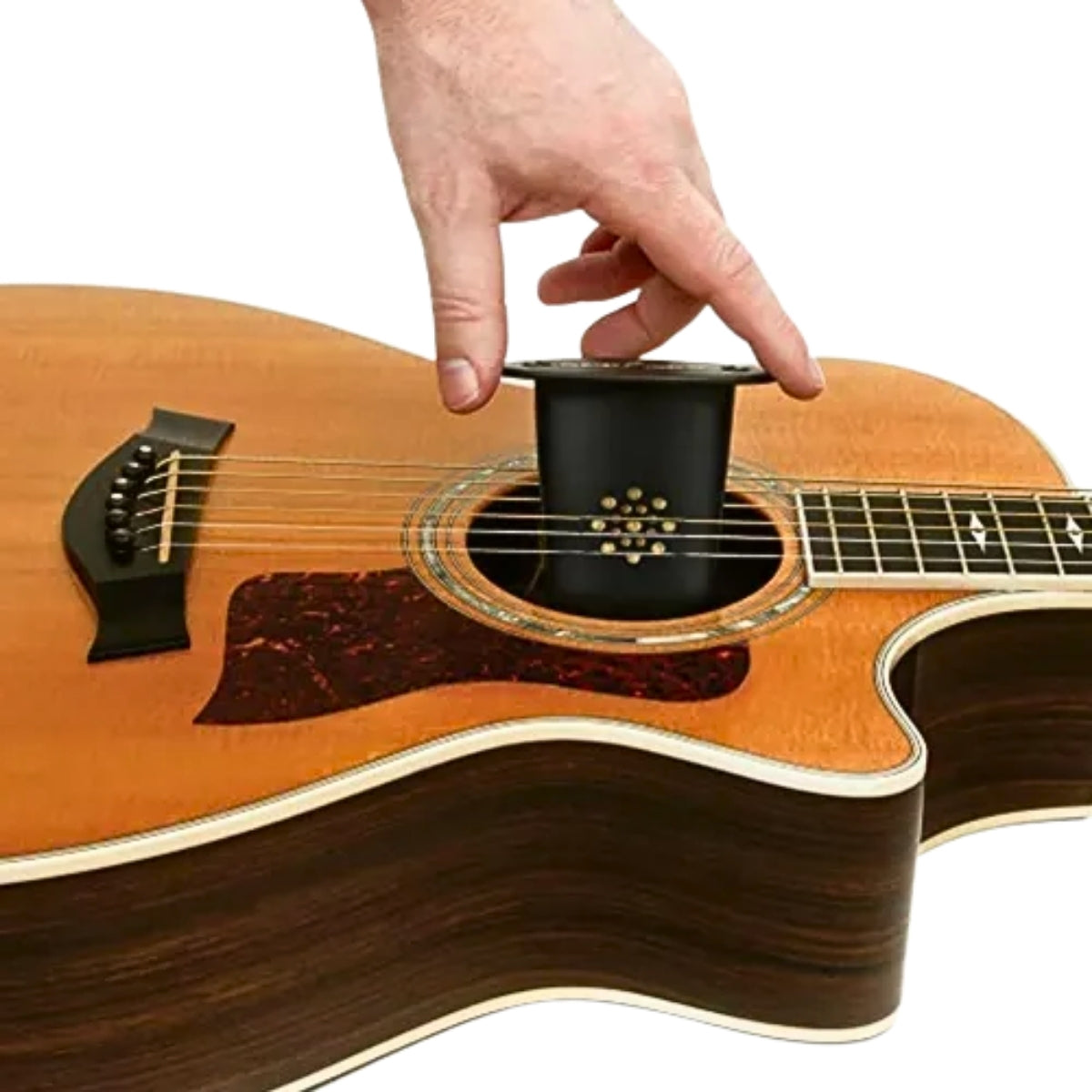 Humidificador Planet Waves GHP para Guitarra Acústica