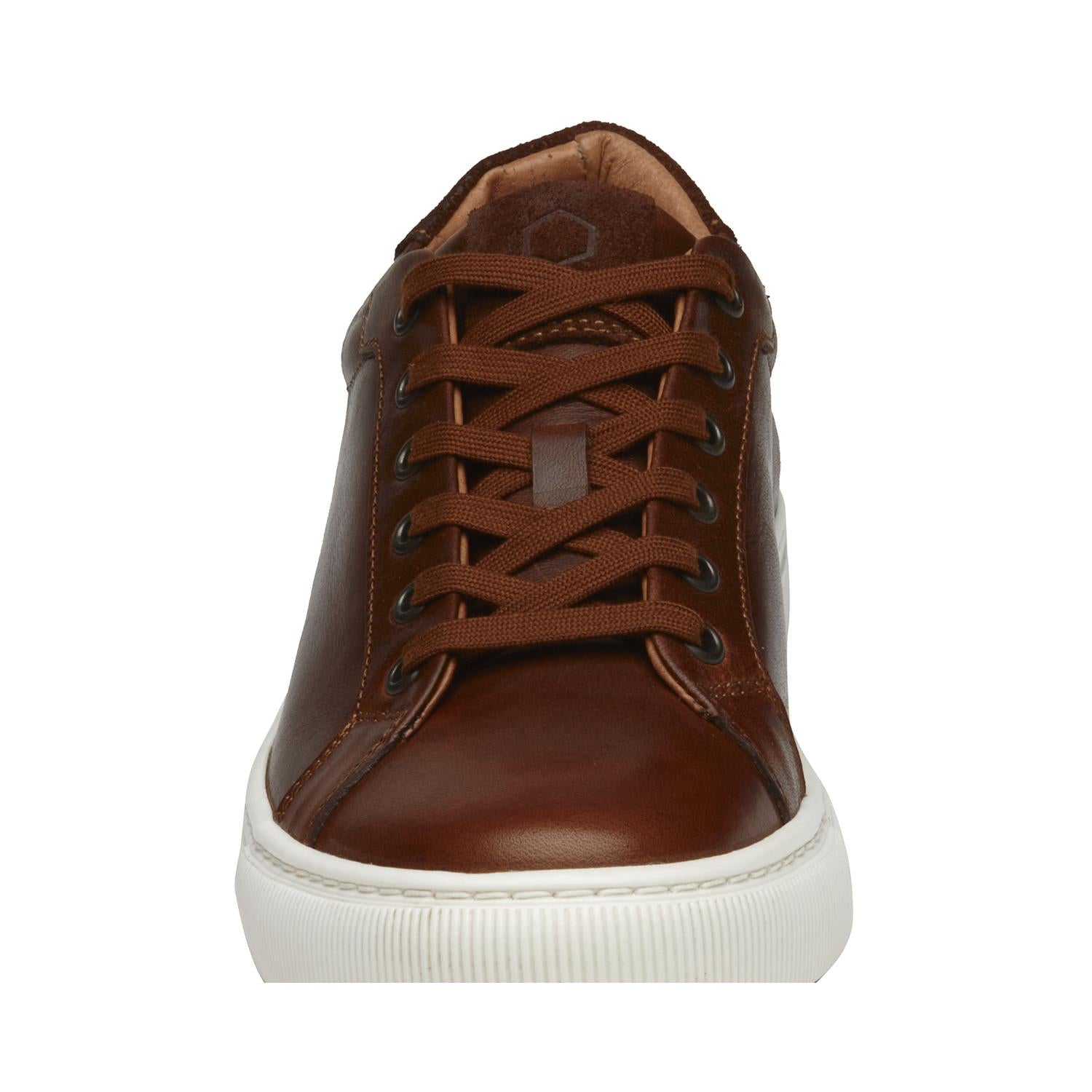 Tenis Tyler P2122511 Café