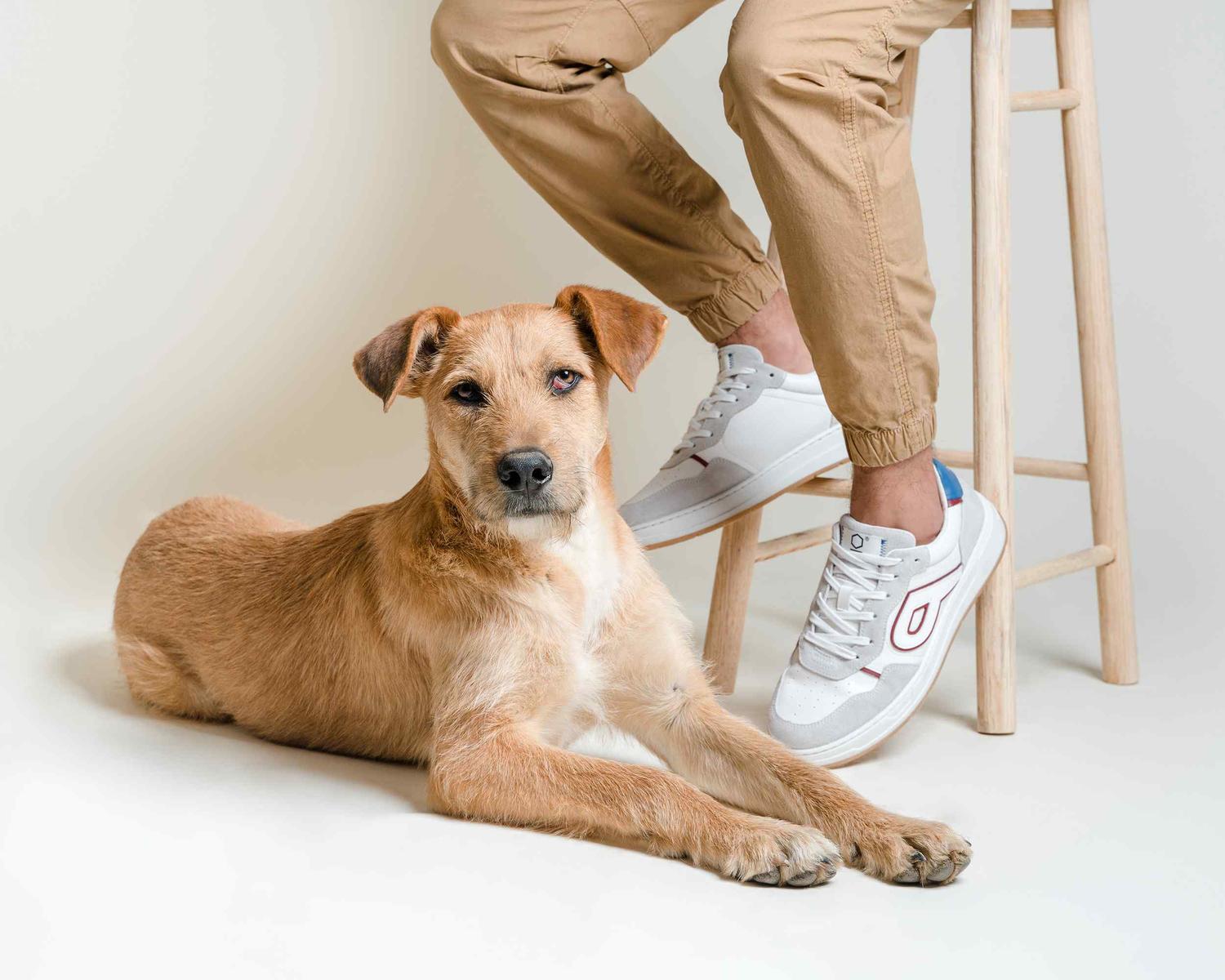 Tenis Iggy P2123671 Blanco