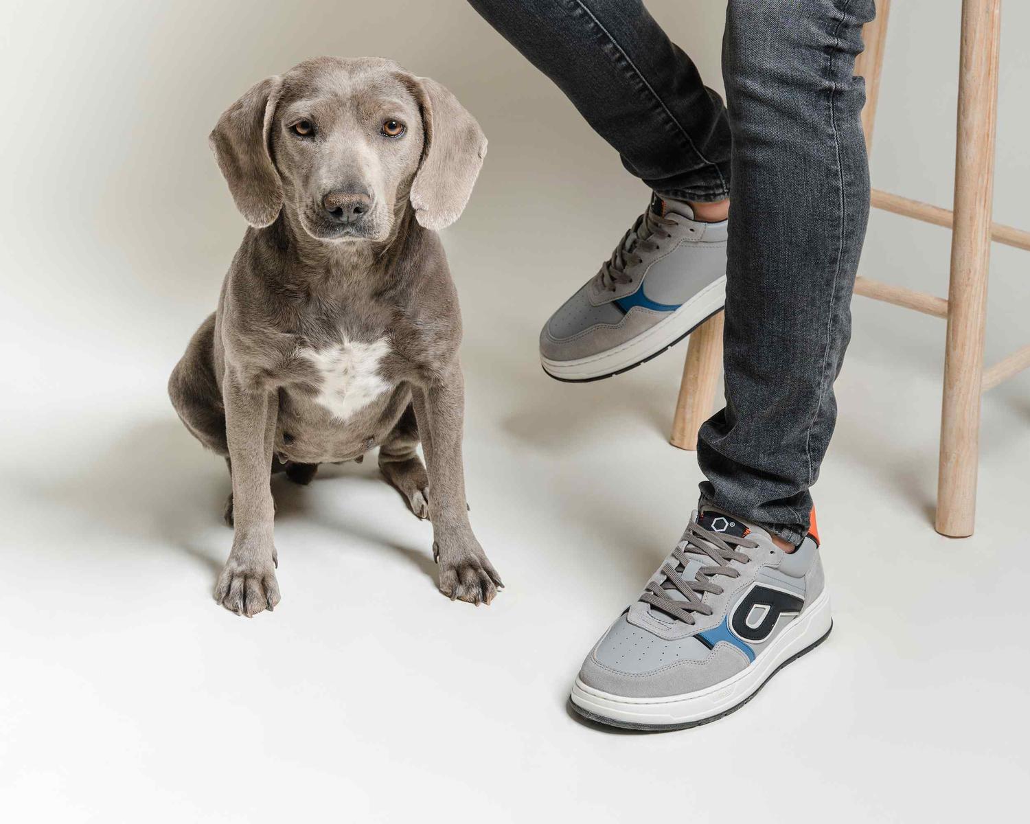 Tenis Iggy P2123671 Gris