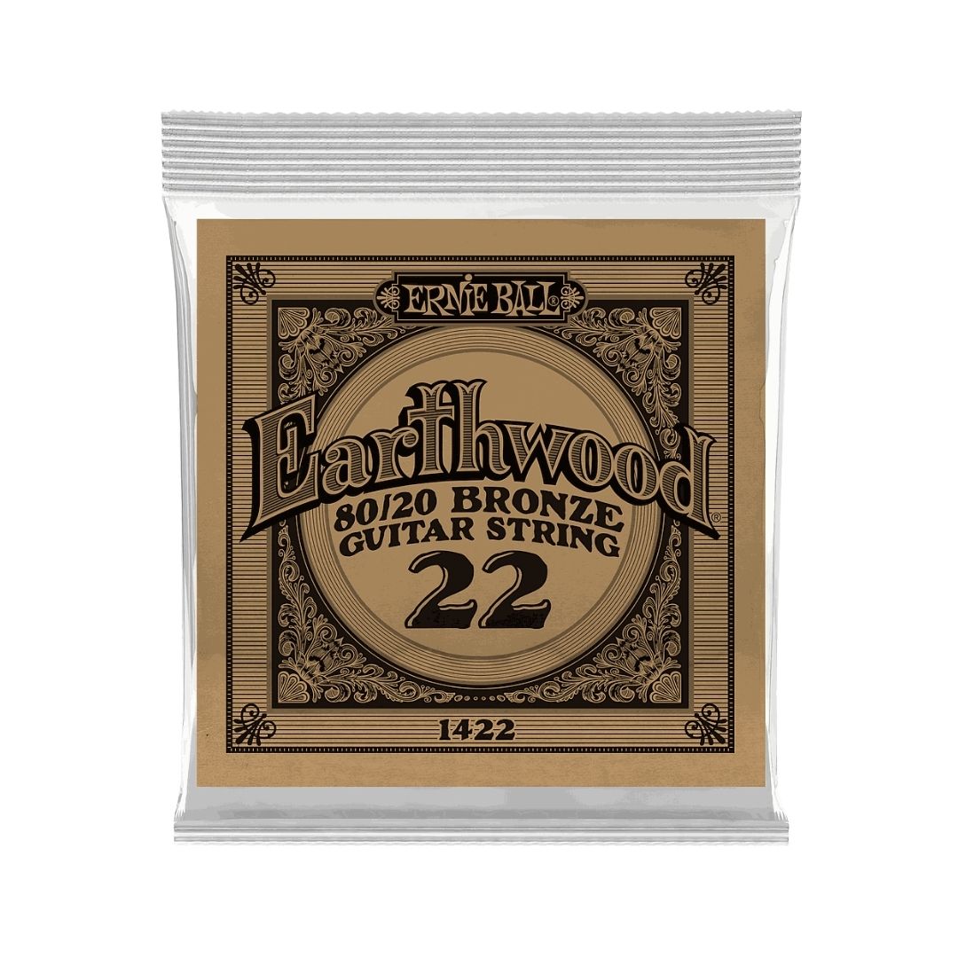CUERDA ERNIE BALL EARTHWOOD BRONCE 22