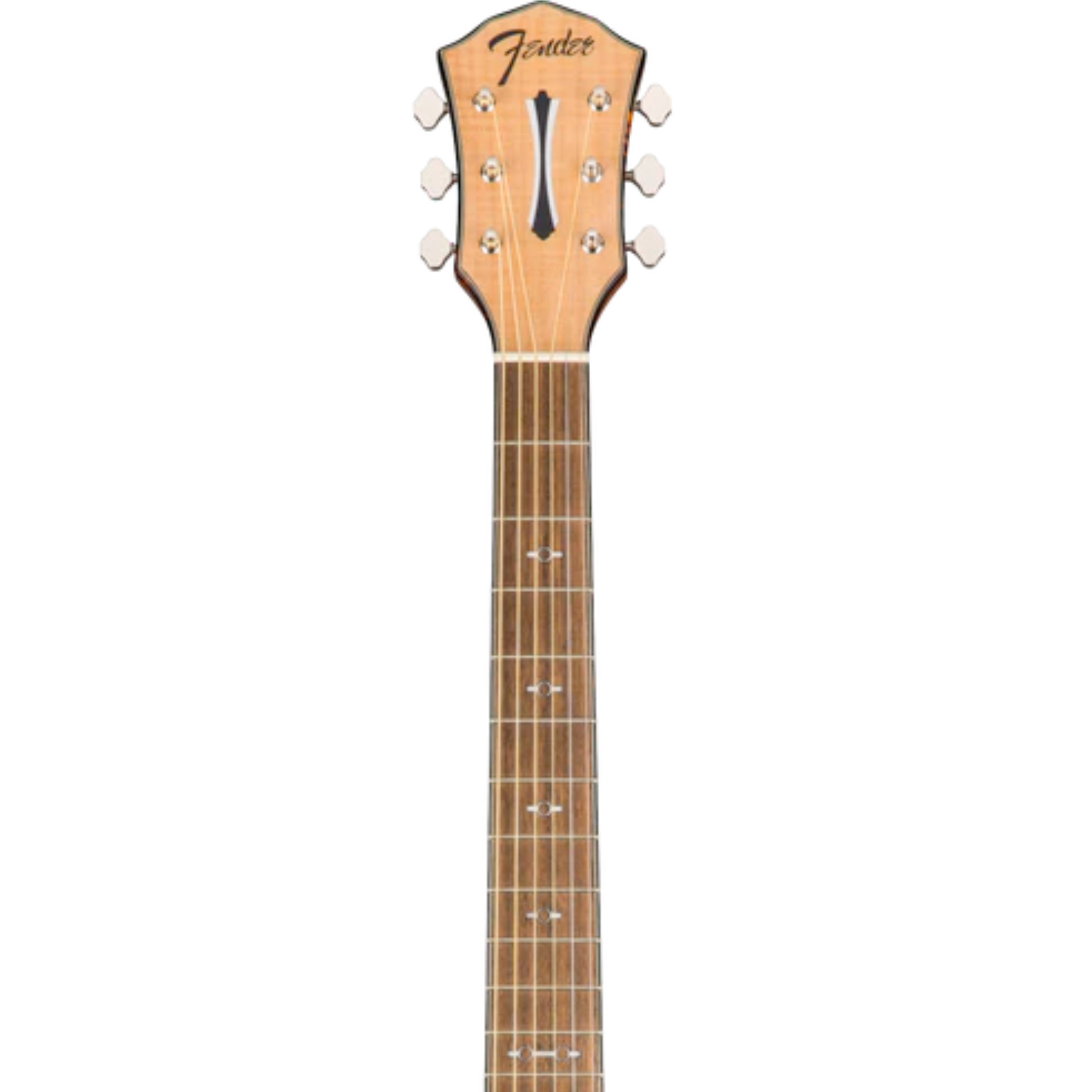 FA-345CE Auditorium, Nat WN