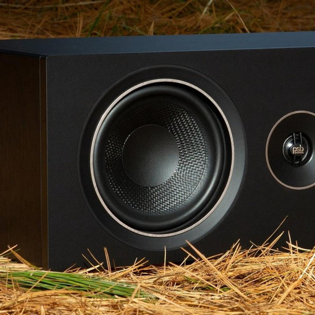 CANAL CENTRAL TEATRO EN CASA PSB ALPHA C10 WLNT