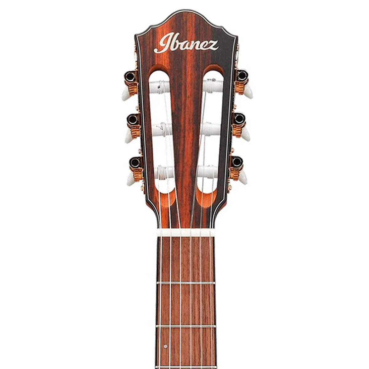 GUITARRA ELECTROACUSTICA NYLON IBANEZ NATURAL MATE FRH10N