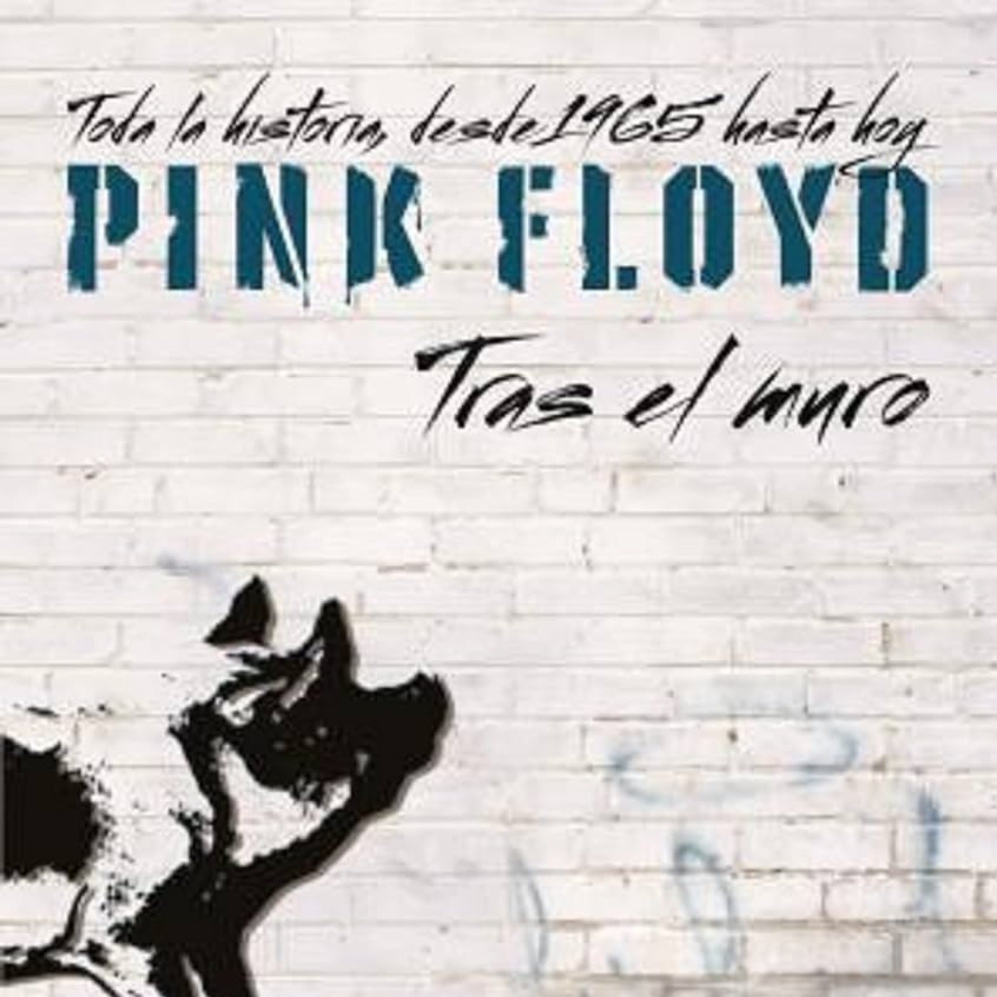LIBRO PINK FLOYD TRAS EL MURO LA HISTORIA DE 1965 HASTA HOY