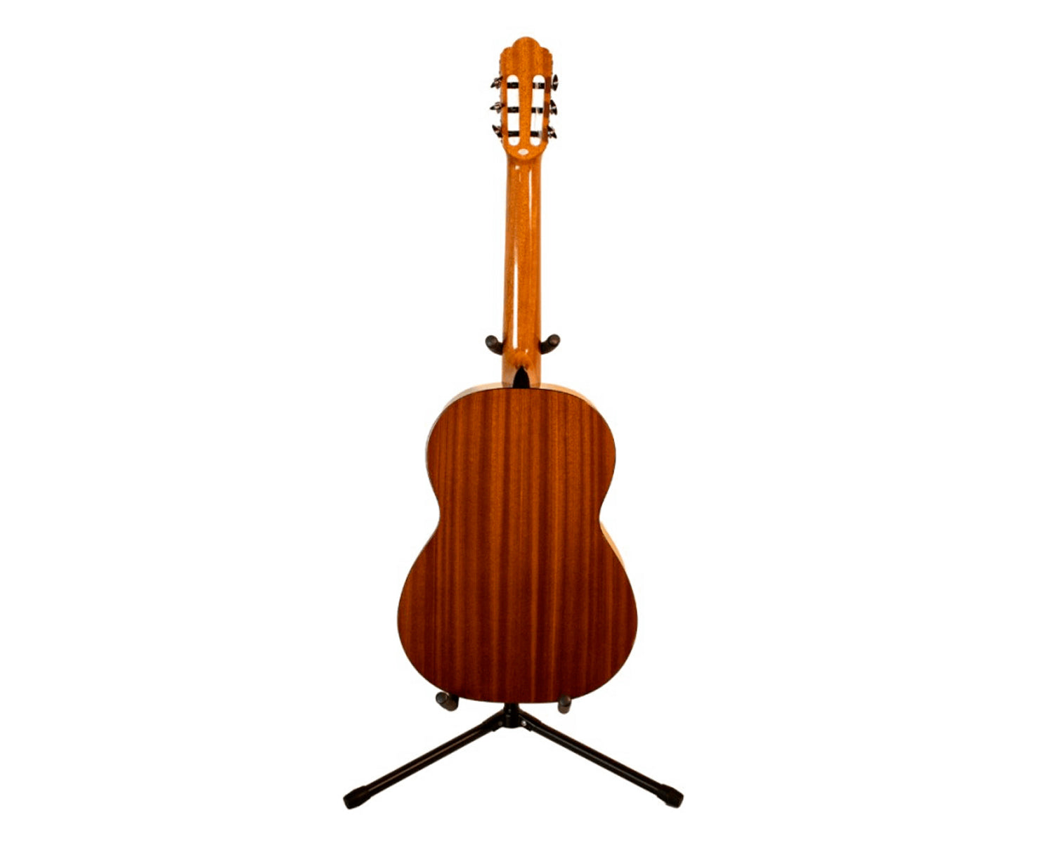 Guitarra Acústica Clásica Angel Lopez Alicante CM Cedar High Gloss con Cuerdas Savarez