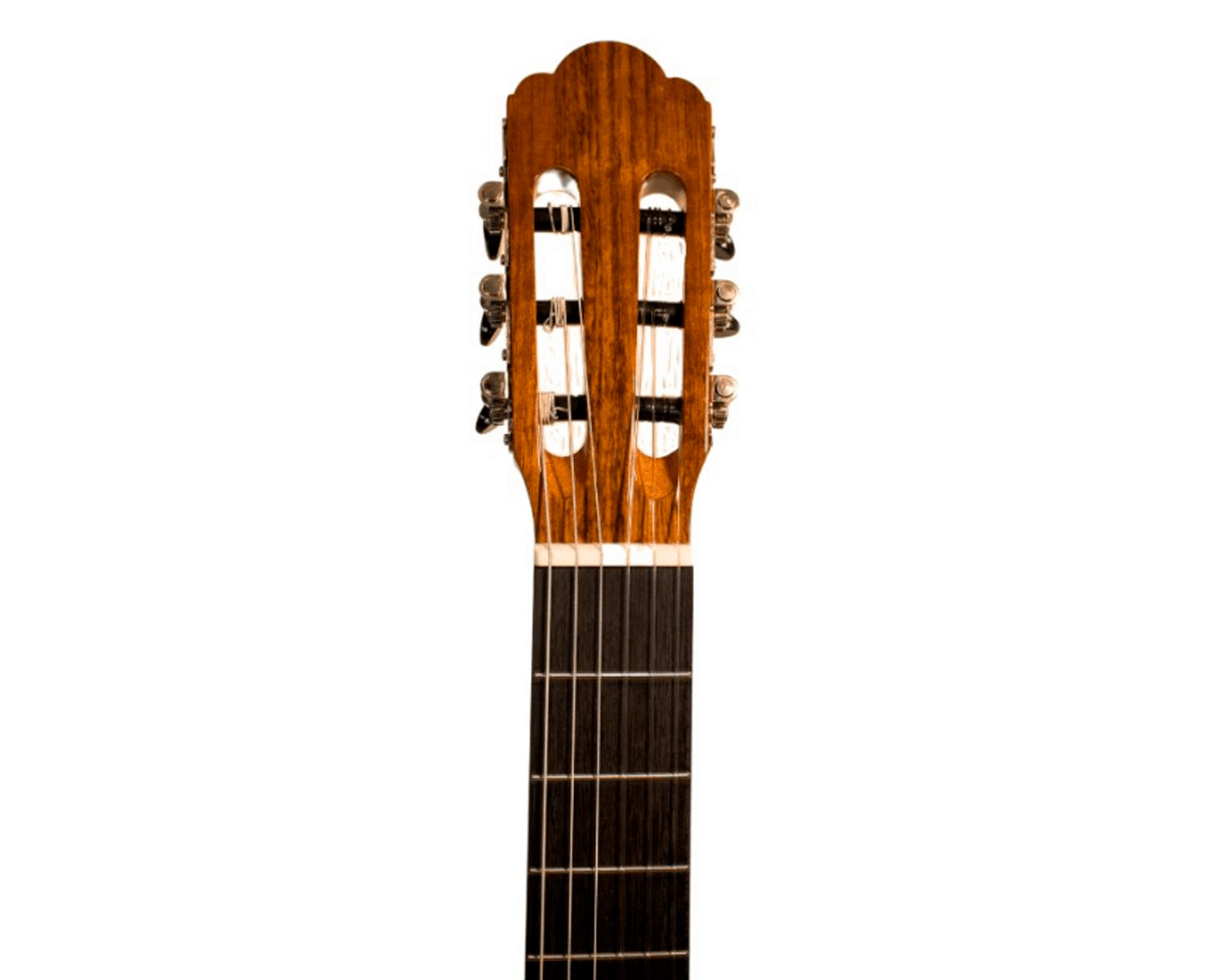 Guitarra Acústica Clásica Angel Lopez Alicante CM Cedar High Gloss con Cuerdas Savarez