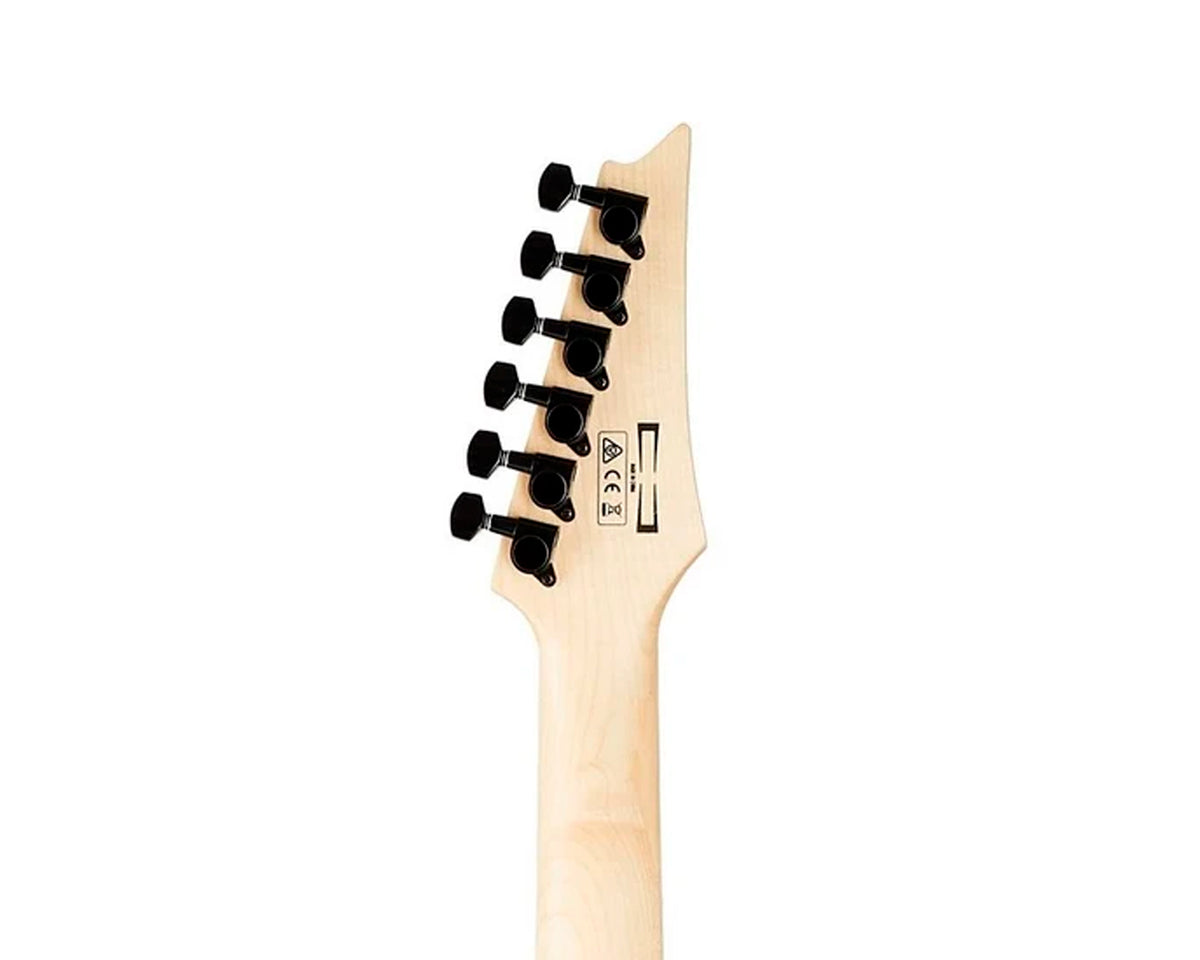 Guitarra electrica Ibanez GIO RG221PA-AQB azul transparente sombreado