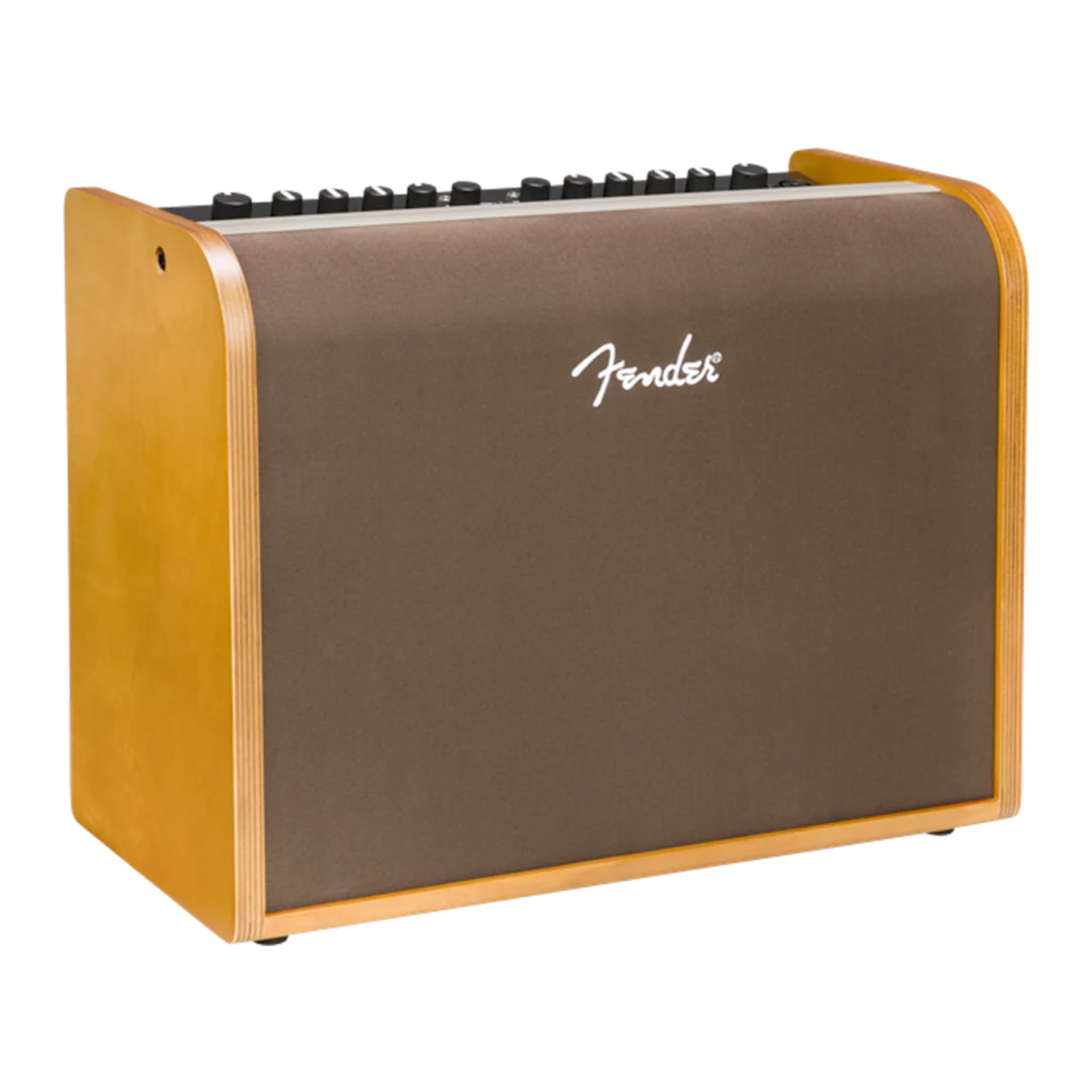 FENDER AMP ACOUSTIC 100 120V