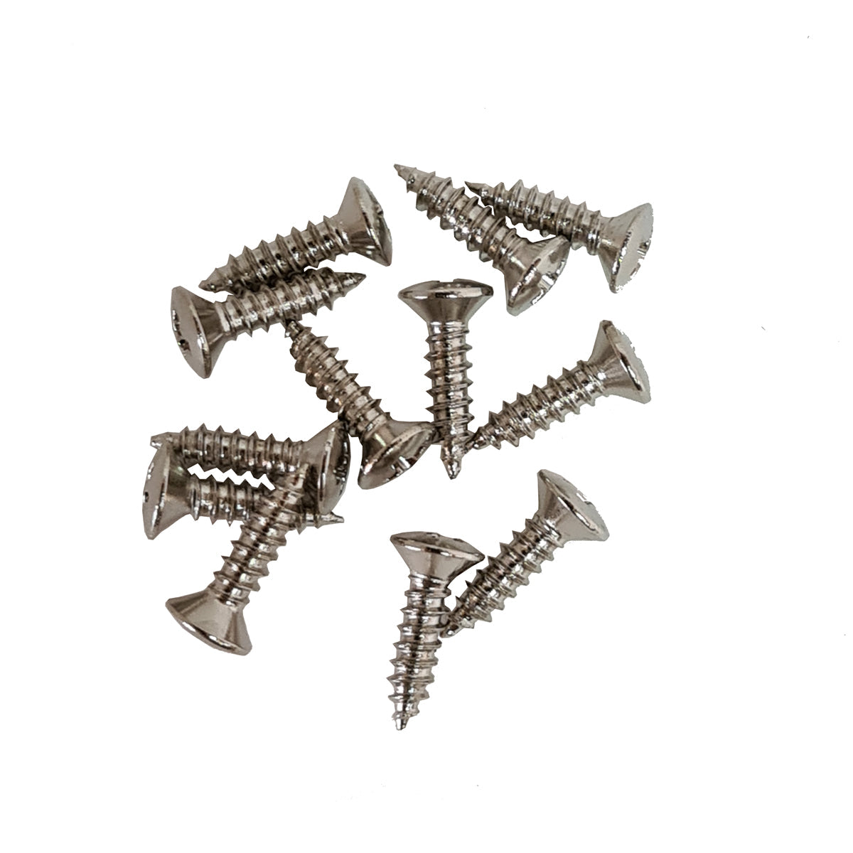 TORNILLOS PARA MICA PAQUETE CON 12 PIEZAS CROMADO PROLINE SCRMCR