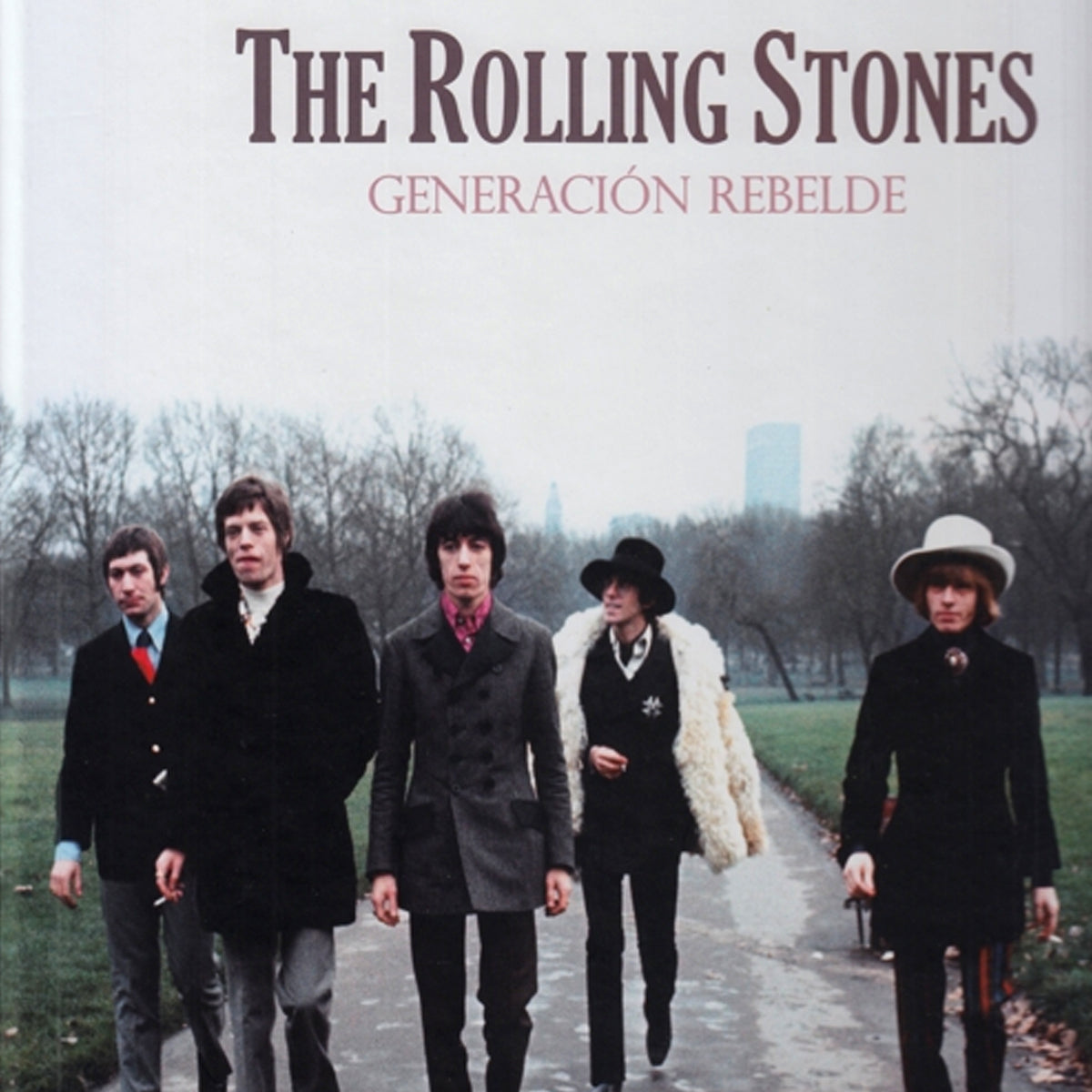 LIBRO THE ROLLING STONES GENERACION REBELDE